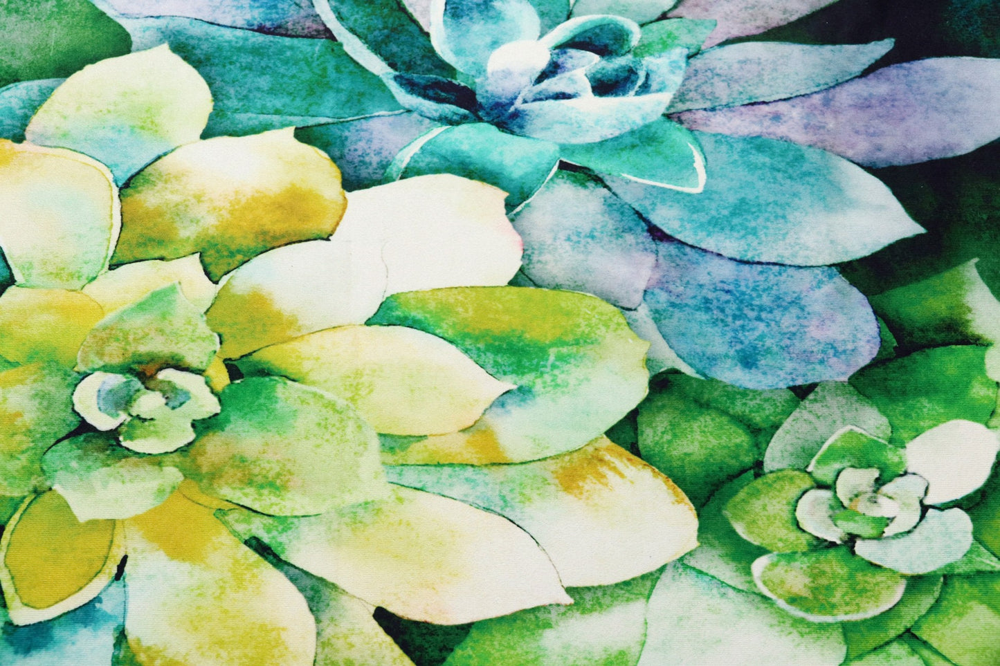 Jade Succulents Olivia's Home Accent Washable Rug 22" x 32"