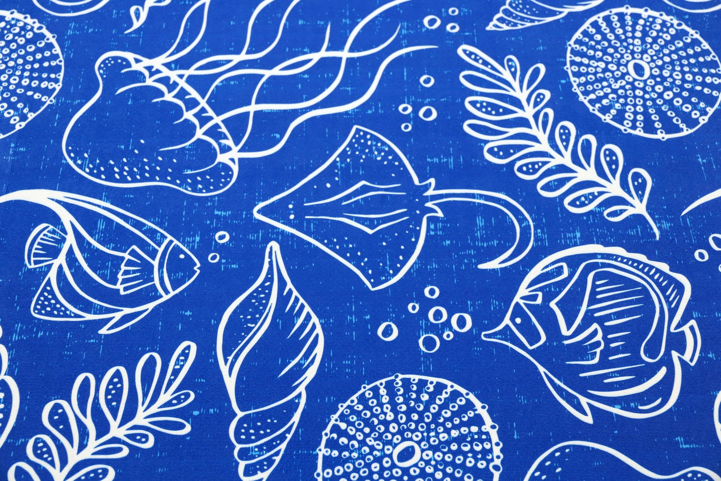 Sea Life Pattern Olivia's Home Accent Rug with Shells Ocean Themed Washable Rug 22" x 32"