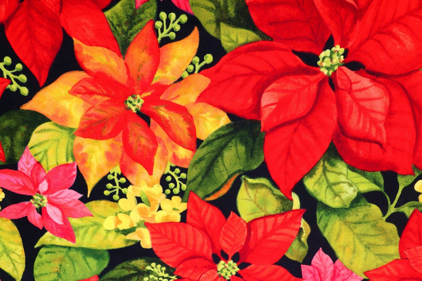 Poinsettia Garden Olivia's Home Accent Rug with Flowers Floral Washable Rug 22" x 32"