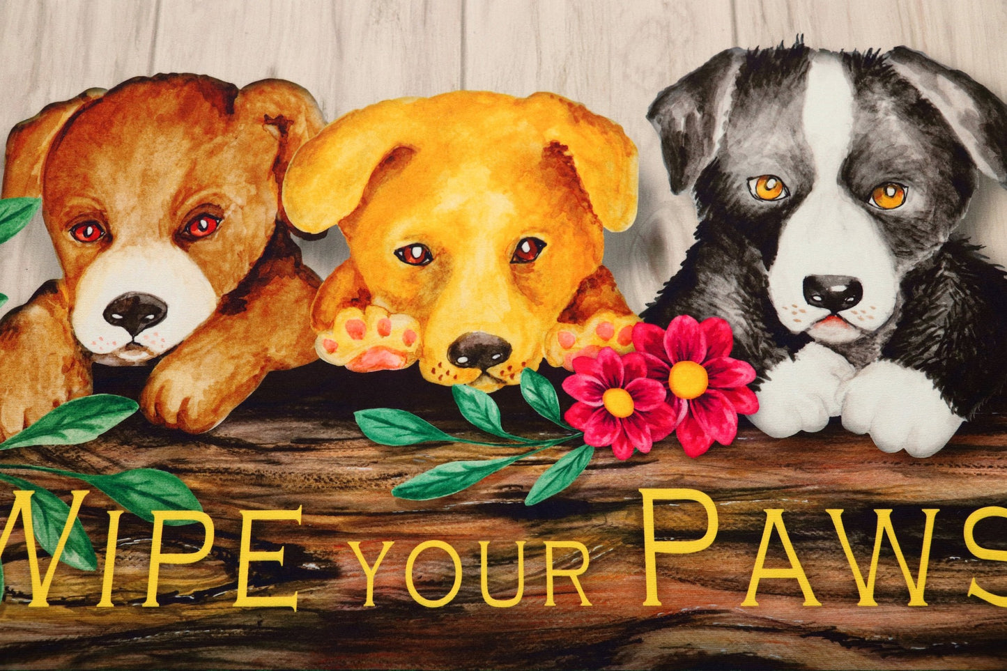 Wipe Your Paws Olivia's Home Accent Washable Rug 22" x 32"
