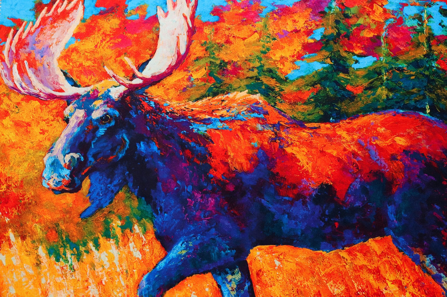 Moose In Mountain Stream Olivia's Home Accent Washable Rug 22" x 32"